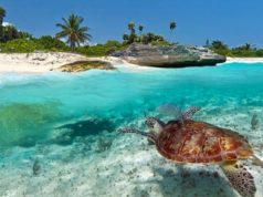 Nel cuore di Zanzibar ... l'affascinante Stone Town!