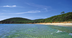 mare toscana